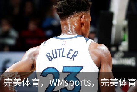 完美体育，WMsports，完美体育官方，完美体育平台，完美体育下载概况