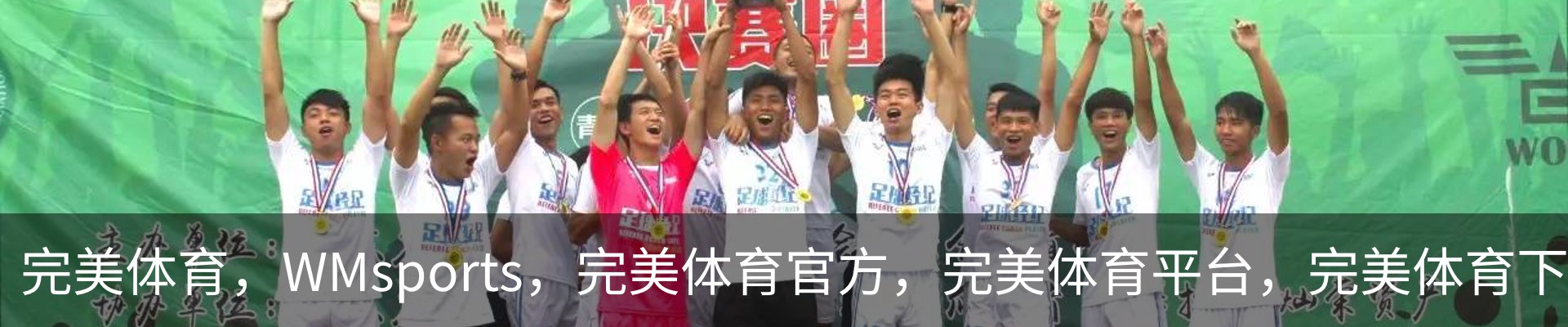 完美体育，WMsports，完美体育官方，完美体育平台，完美体育下载概况